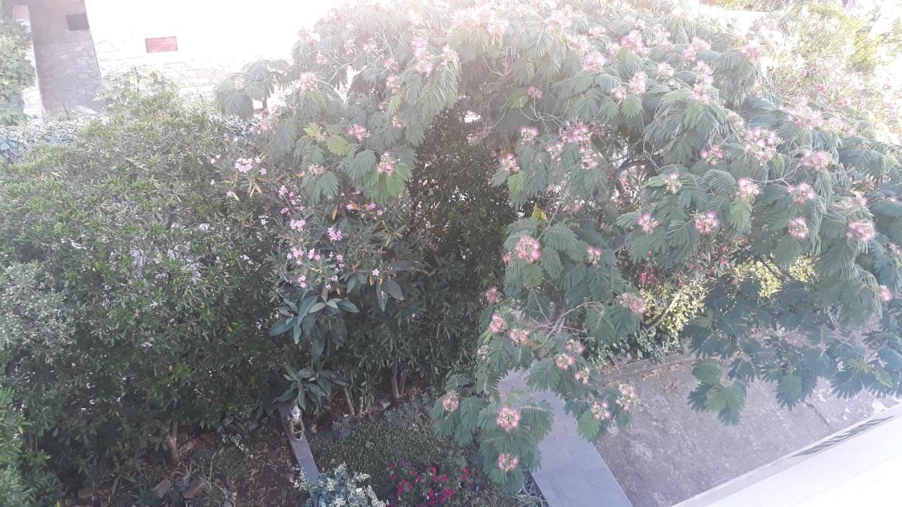 Apartments Suljic - Cash Only Property Stari Grad  Εξωτερικό φωτογραφία
